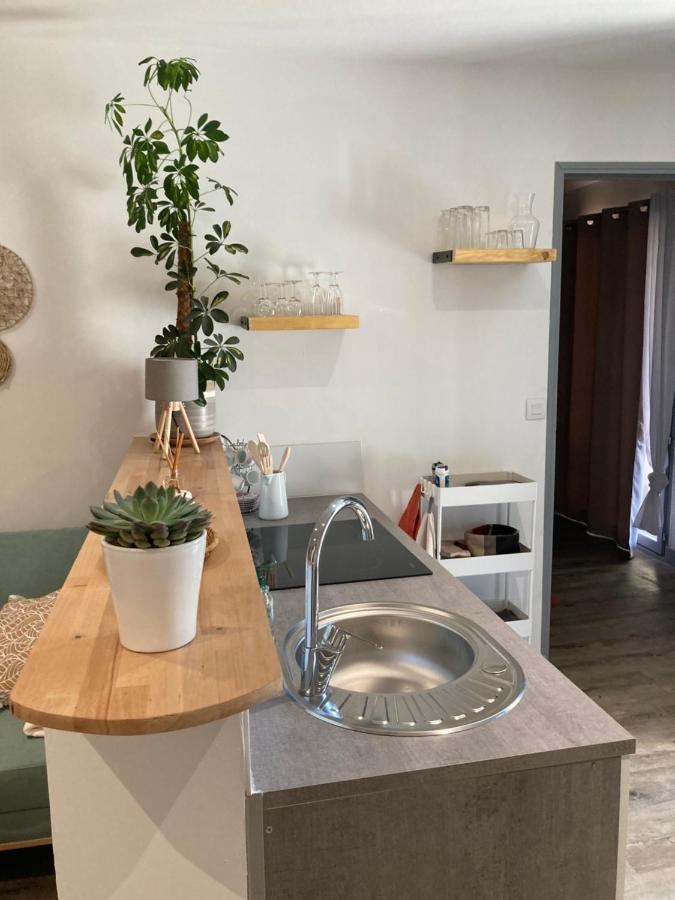 Bienvenue Chez Marie Pierre Apartment Oloron-Sainte-Marie Luaran gambar