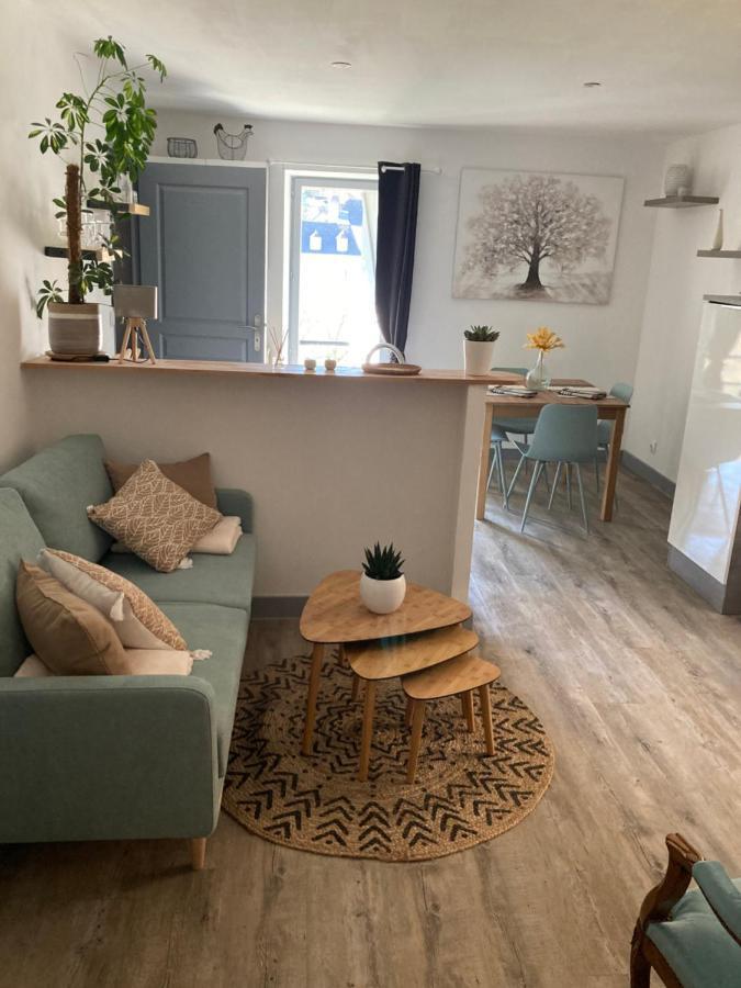 Bienvenue Chez Marie Pierre Apartment Oloron-Sainte-Marie Luaran gambar
